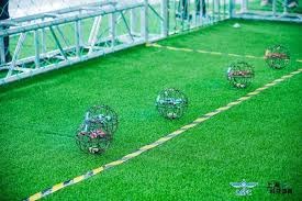 拥王者科尔：男人在外要保护好自己骑士尤其要小心宫里的母老虎